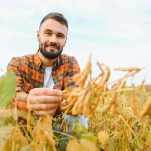 Tecnologia em Gestão do Agronegócio